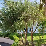 Flegra Palace Hotel Pefkochori