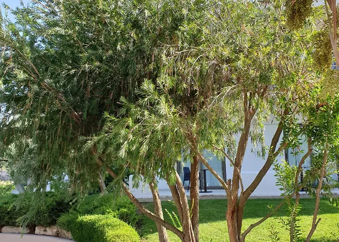 Flegra Palace Hotel Pefkochori