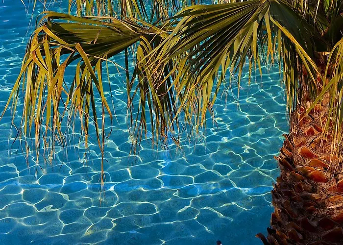 Flegra Palace Hotel 4*