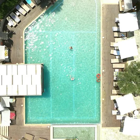 Flegra Palace מלון 4*