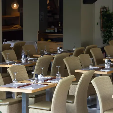Flegra Palace מלון 4*