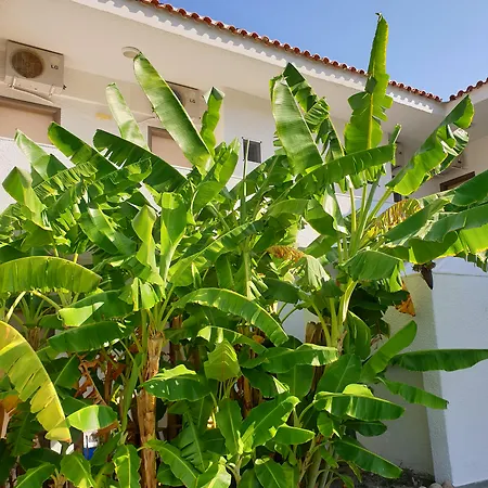 מלון Flegra Palace 4*