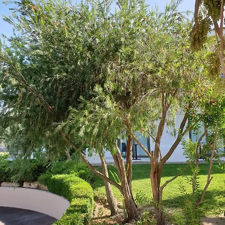 Flegra Palace מלון פפקוהורי