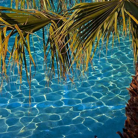 Flegra Palace Hotel 4*